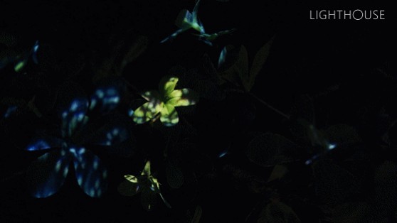 1677047710192372.gif 1677047710192372.gif