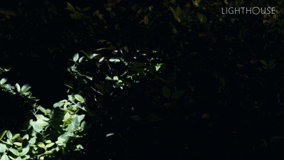 1677047710301582.gif 1677047710301582.gif